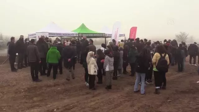 Tıbbi ve aromatik bitkiler ormanında 188 bin fidan toprakla buluştu