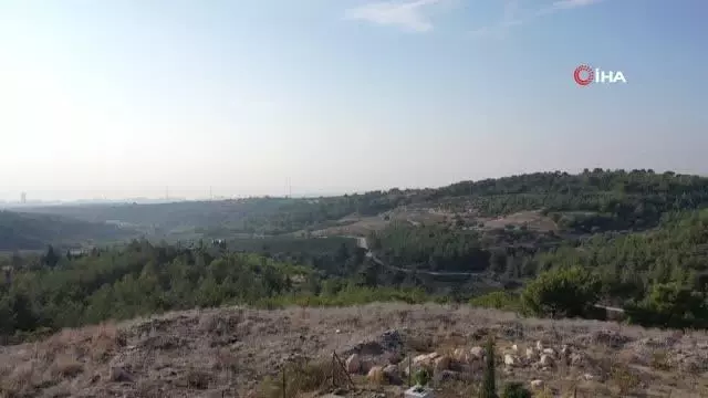 Mersin'de hayata geçirilen hayvan mezarlığı büyük ilgi görüyor
