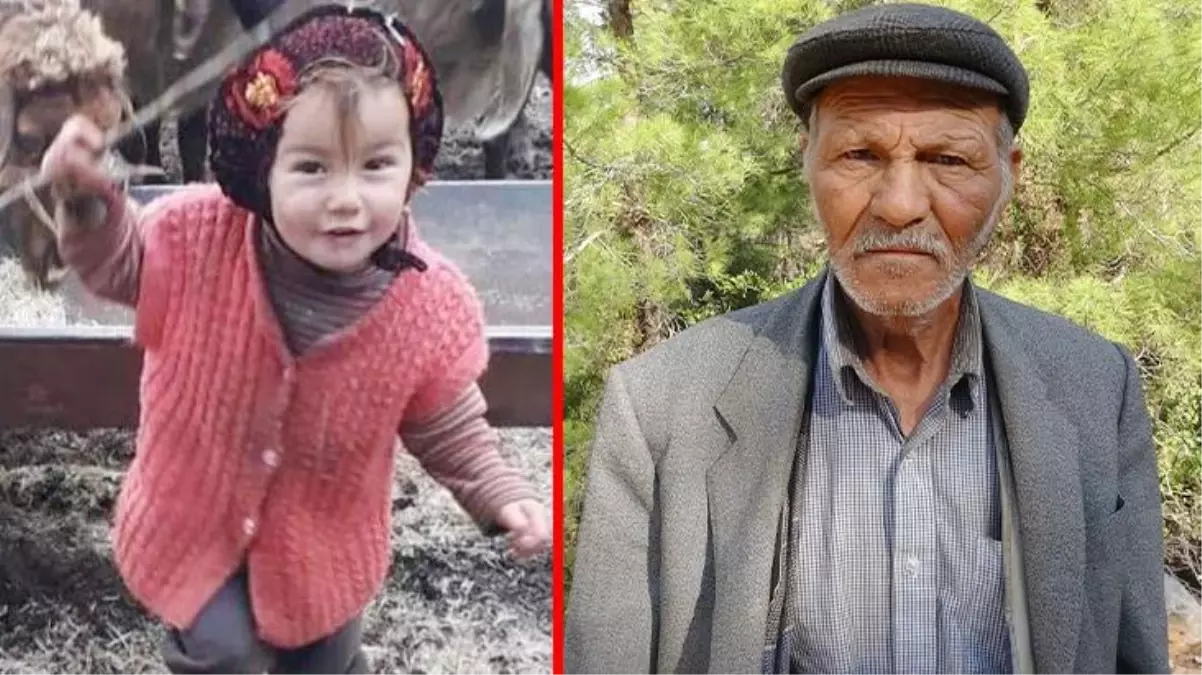 Müslüme'nin ölümüyle ilgili tutuklanan dede, arama çalışmalarında böyle konuşmuş: Ben sürüye gitmiştim