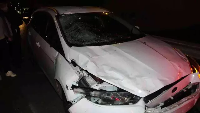 Pendik'te otomobil yola çıkan büyükbaş hayvanlara çarptı