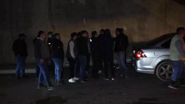 Pendik'te otomobil yola çıkan büyükbaş hayvanlara çarptı