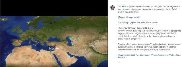 Tarkan'dan av ihalesine tepki: Hayvanlarımızı rahat bırakın!