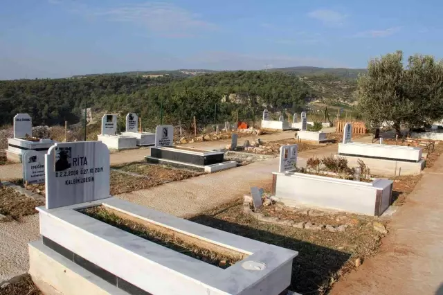 Mersin'de hayata geçirilen hayvan mezarlığı büyük ilgi görüyor