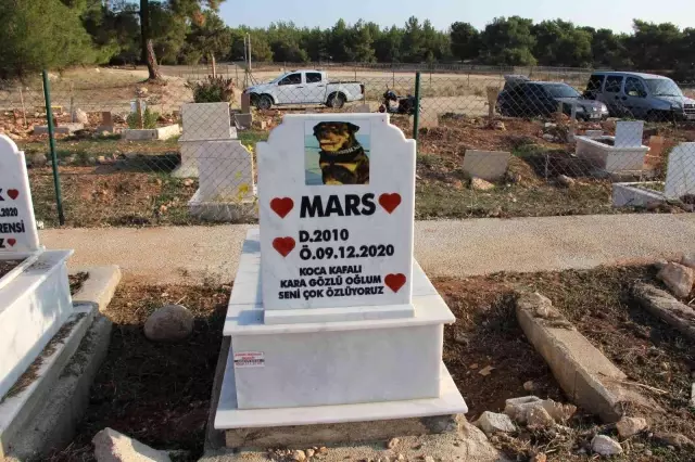 Mersin'de hayata geçirilen hayvan mezarlığı büyük ilgi görüyor