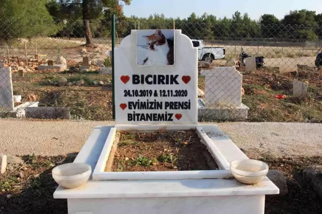 Mersin'de hayata geçirilen hayvan mezarlığı büyük ilgi görüyor