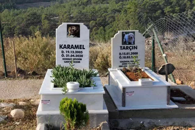 Mersin'de hayata geçirilen hayvan mezarlığı büyük ilgi görüyor