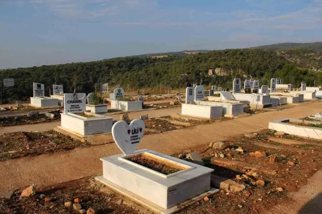 Mersin'de hayata geçirilen hayvan mezarlığı büyük ilgi görüyor