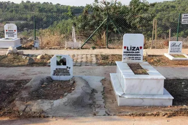 Mersin'de hayata geçirilen hayvan mezarlığı büyük ilgi görüyor