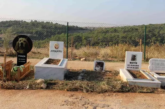 Mersin'de hayata geçirilen hayvan mezarlığı büyük ilgi görüyor
