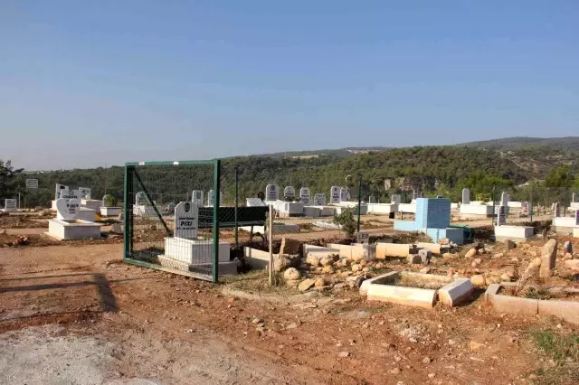 Mersin'de hayata geçirilen hayvan mezarlığı büyük ilgi görüyor