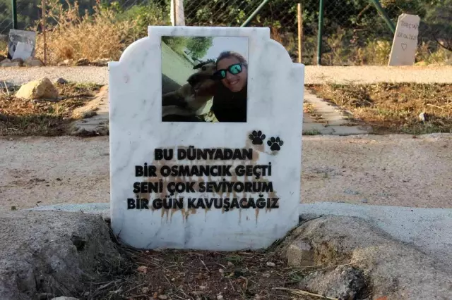 Mersin'de hayata geçirilen hayvan mezarlığı büyük ilgi görüyor