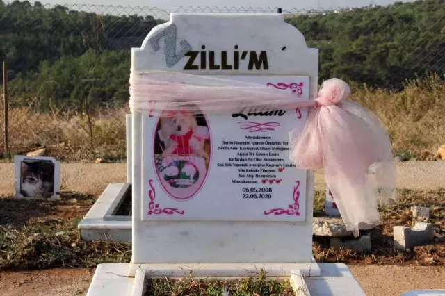 Mersin'de hayata geçirilen hayvan mezarlığı büyük ilgi görüyor