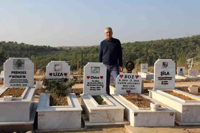 Mersin'de hayata geçirilen hayvan mezarlığı büyük ilgi görüyor