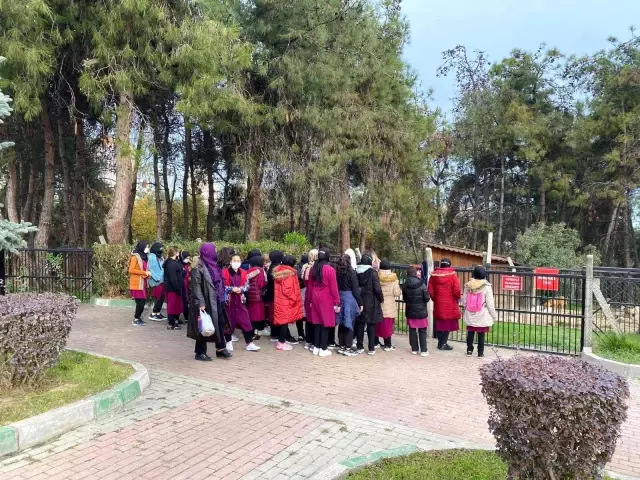 Barınağa hayvansever akını