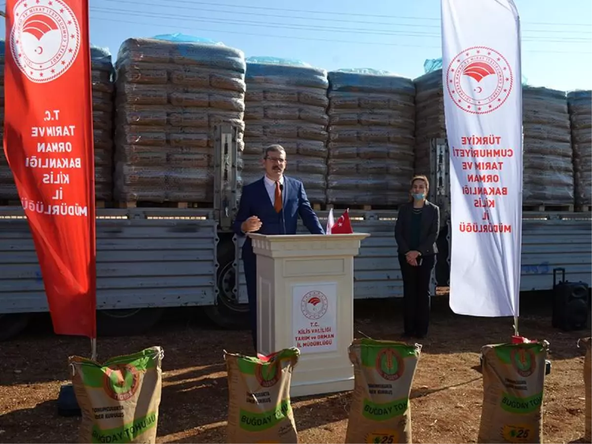 Kilis'te 520 ton buğday tohumu dağıtıldı