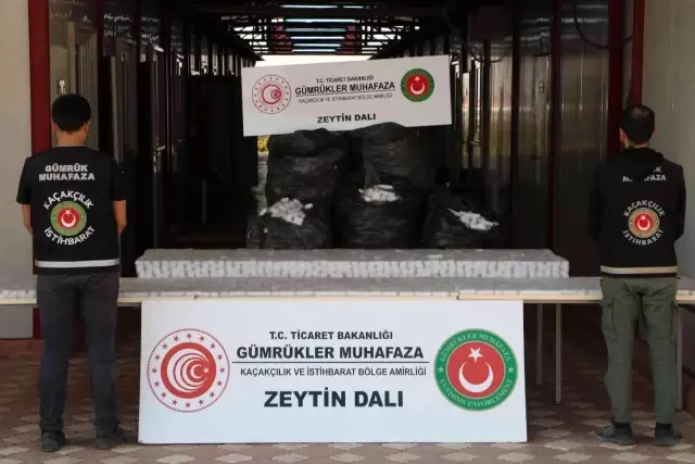 Zeytin Dalı Gümrük Kapısı'nda 13 bin 830 paket bandrolsüz sigara ele geçirildi
