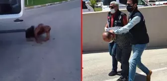 Cinayet tanığı öldürülmekten nasıl kurtulduğu anlattı: Çocuklarım var, bağışla