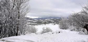Erzincan'ın yüksek kesimleri kardan beyaza büründü