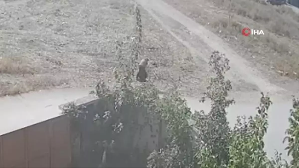 Kanalizasyon kapağını çaldılar, kimse düşmesin diye yerine tahta koydular