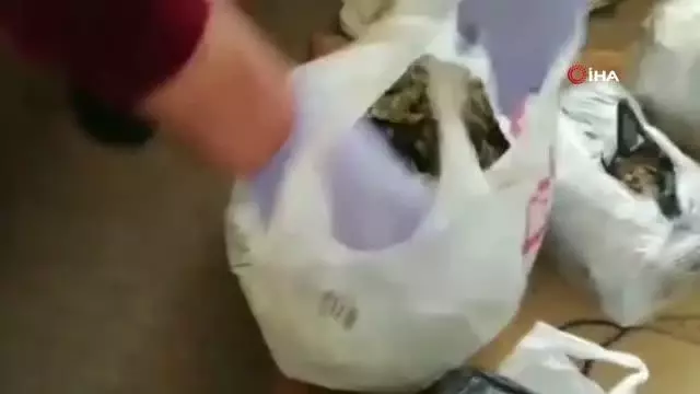 Tekirdağ'da operasyonu: 3 kilo uyuşturucu ele geçirildi