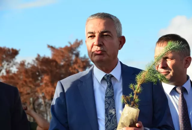 Akademisyen ve öğrenciler yanan ormanlık alanlara fidan dikti