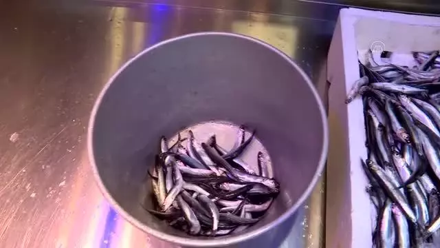 Hamsi tezgahları doldurdu