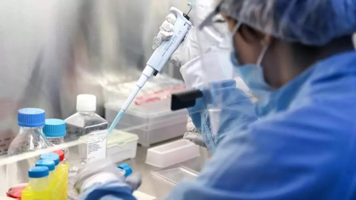 omicron nedir ne demek omicron olumcul mu yeni korona varyanti omicron nedir hangi ulkede goruldu turkiye