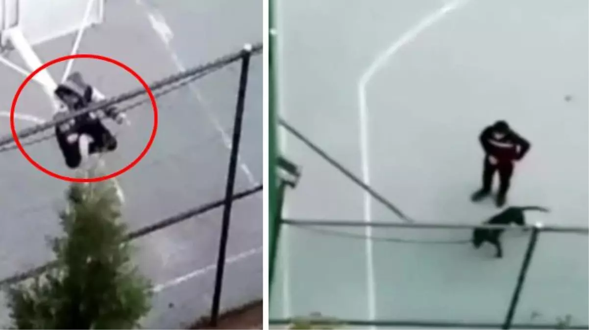 Pitbull cinsi köpeğiyle arkadaşına dehşeti yaşattı: Çocuk korkudan potaya çıktı