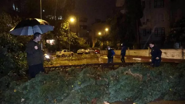 Antalya'da hortum ağaçları kökünden söktü