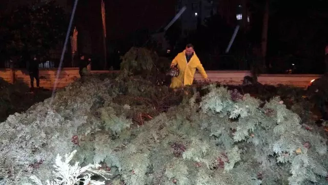 Antalya'da hortum ağaçları kökünden söktü