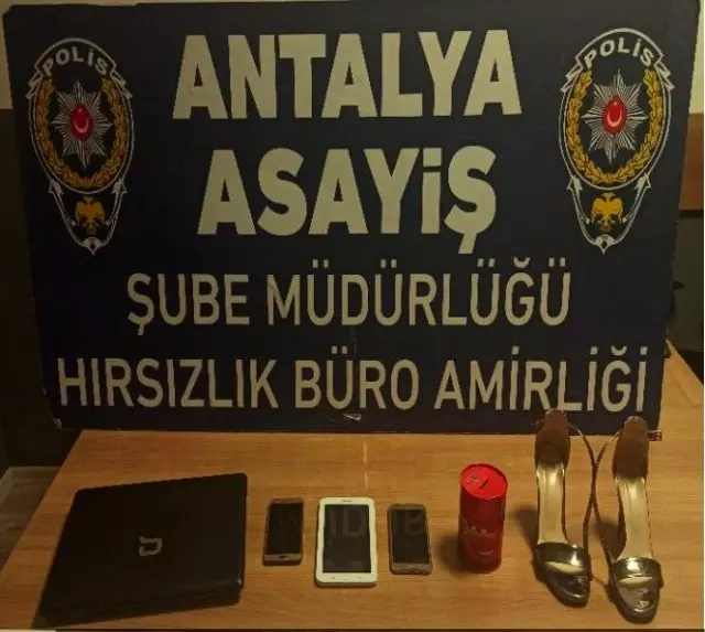 Çilingirle girdikleri evden kediyi bile çaldılar Hırsızlar Çilingirle girdikleri evden kediyi bile çaldılar Hırsızlar