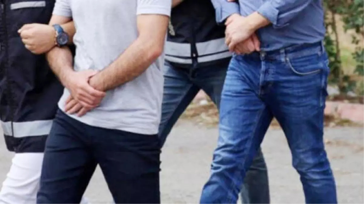 Böyle hırsızlık görülmedi! Çilingirle girdikleri evden kediyi bile çaldılar