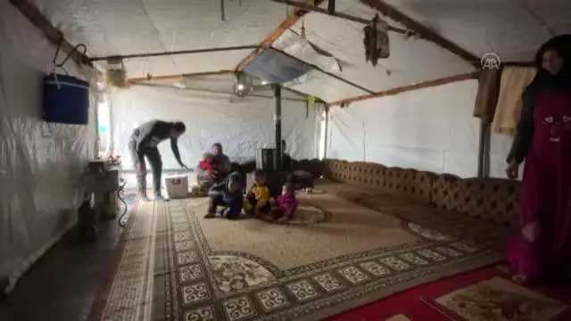 Gemmura kampında yaşam