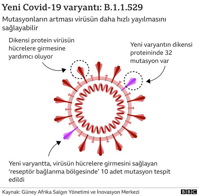 Güney Afrika'dan Hollanda'ya uçan 61 yolcunun testleri pozitif çıktı, Omicron olup olmadığı incelenecek