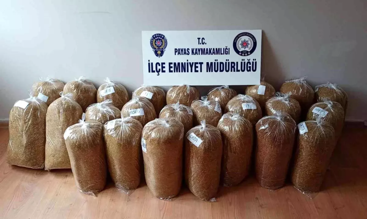 Payas'ta 127 kilo 55 gram gümrük kaçağı tütün ele geçirildi