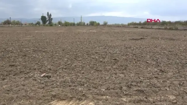 Son dakika... AYDIN'DA YÜZDE 50 KURU TARIMA GEÇME KARARI ALINDI