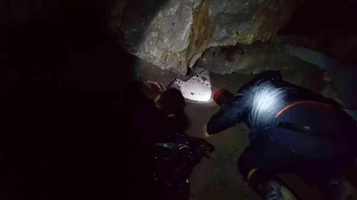 Son Dakika | Balıkesir'de mahsur kalan kedi ve köpekler itfaiye tarafından kurtarıldı