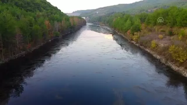 (DRONE) Ceyhan Nehri çevresinde sonbaharın renkleri hakim oldu