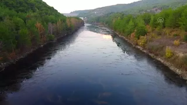 (DRONE) Ceyhan Nehri çevresinde sonbaharın renkleri hakim oldu