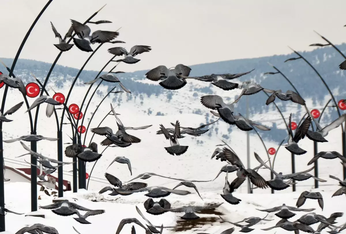 Kars'ta kar ve soğuk hava etkisini sürdürüyor