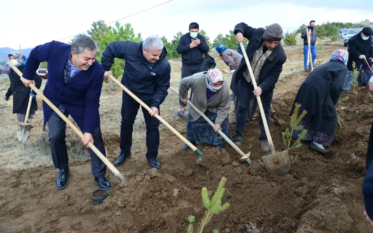 Yelek Köyünde Fidanlar Toprakla Buluşturuldu