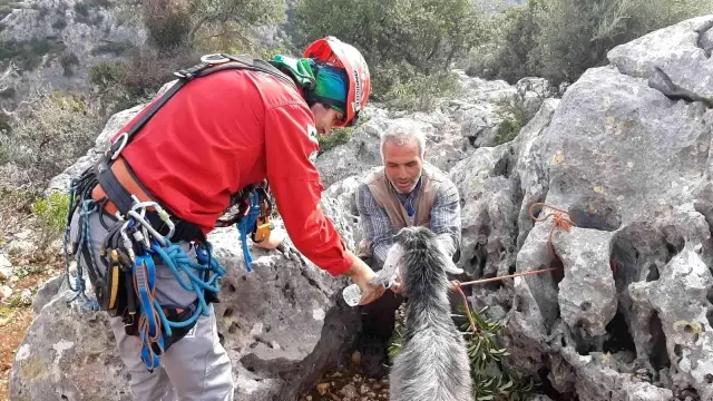 Son dakika haberi! Mersin'de 100 metre aşağıda keçi kurtarma operasyonu