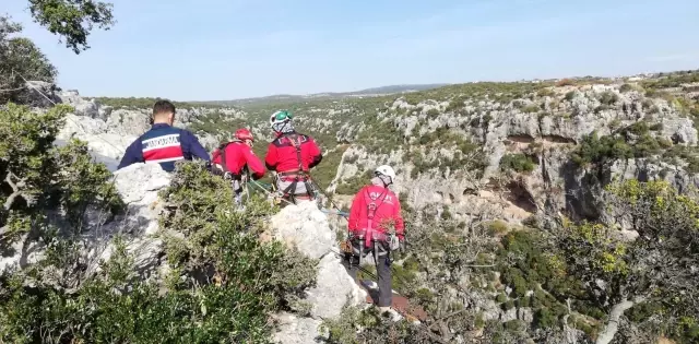 Son dakika haberi! Mersin'de 100 metre aşağıda keçi kurtarma operasyonu