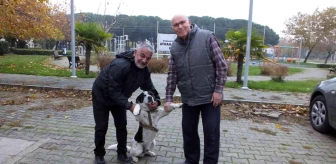 Balıkesir'de İstiklal Marşı okunurken eşlik eden köpek ilgi odağı oldu