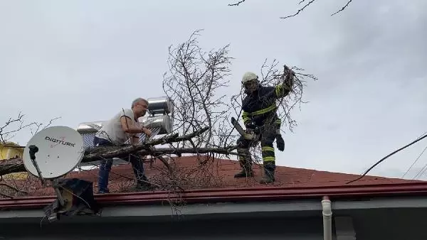 Düzce'de rüzgar etkili oldu (2)