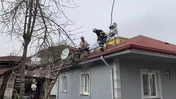 Düzce'de rüzgar etkili oldu (2)