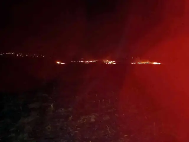 Düzce'de anız yangını orman yangınına dönüştü