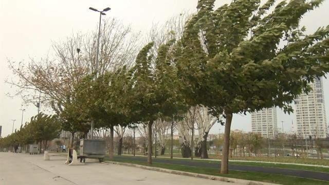 Maltepe'de fırtınayla birlikte dev dalgalar kıyıya vurdu