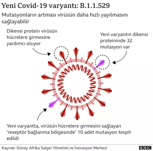 Omicron: Dünya Sağlık Örgütü, 'Küresel risk çok yüksek' diyerek kamuoyunu uyardı