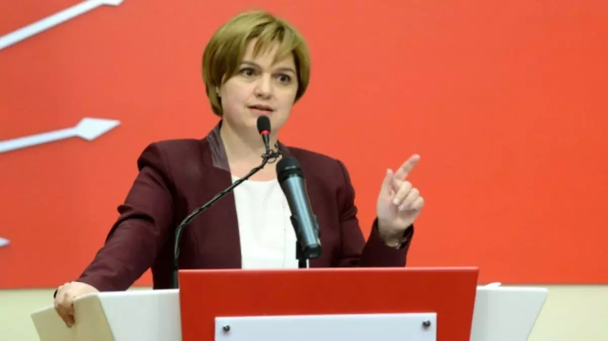Selin Sayek Böke kimdir? Selin Sayek Böke kaç yaşında, nereli? Selin Sayek Böke hayatı ve biyografisi!